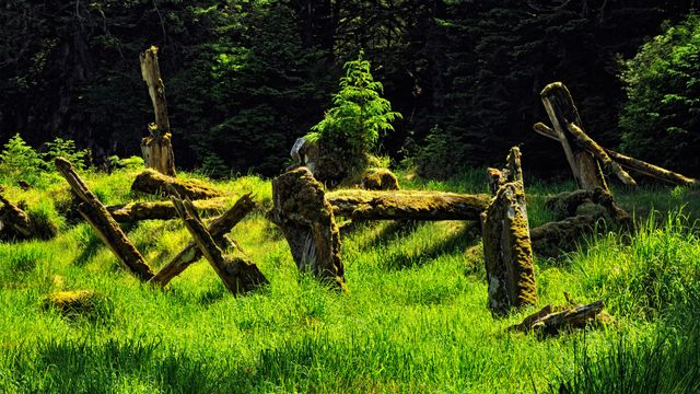 Gwaii Haanas National Park Reserve and Haida Heritage Site, British Columbia, Canada