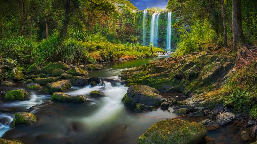 旺阿雷自然保护区里的旺阿雷瀑布，新西兰北岛