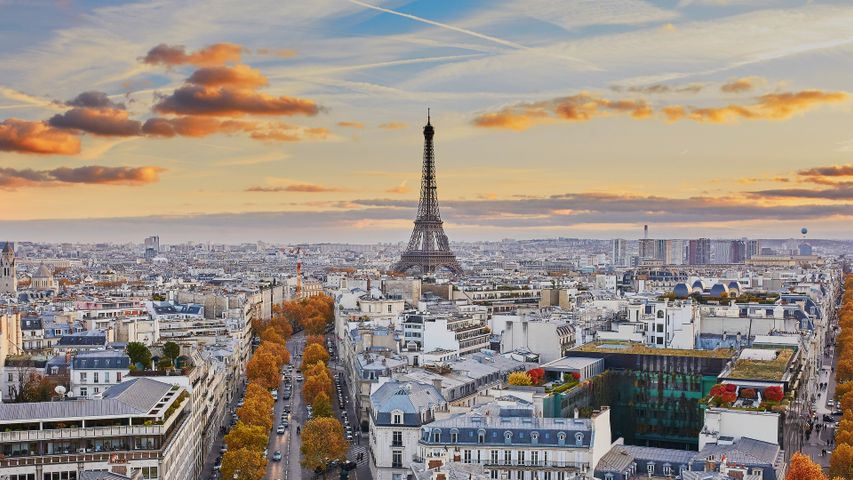 Paris aux couleurs de l’automne - Bing Gallery