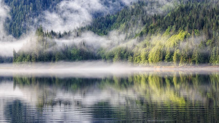 Fjord with fog, Khutzeymateen Provincial Park