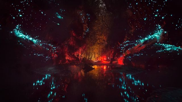Glowworms in Blue Mountains National Park, Australia