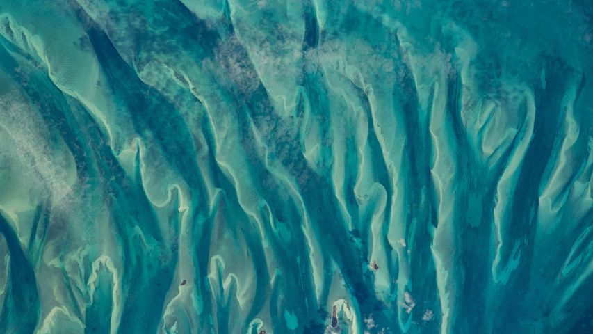 Le acque verde-blu intorno alle Bahamas viste dalla Stazione Spaziale Internazionale