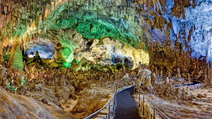 Parc national des grottes de Carlsbad, Nouveau-Mexique, États-Unis