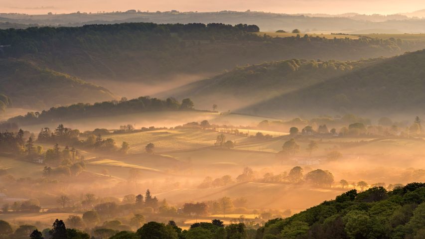 Mist-covered countryside at dawn, Dartmoor National Park, Devon