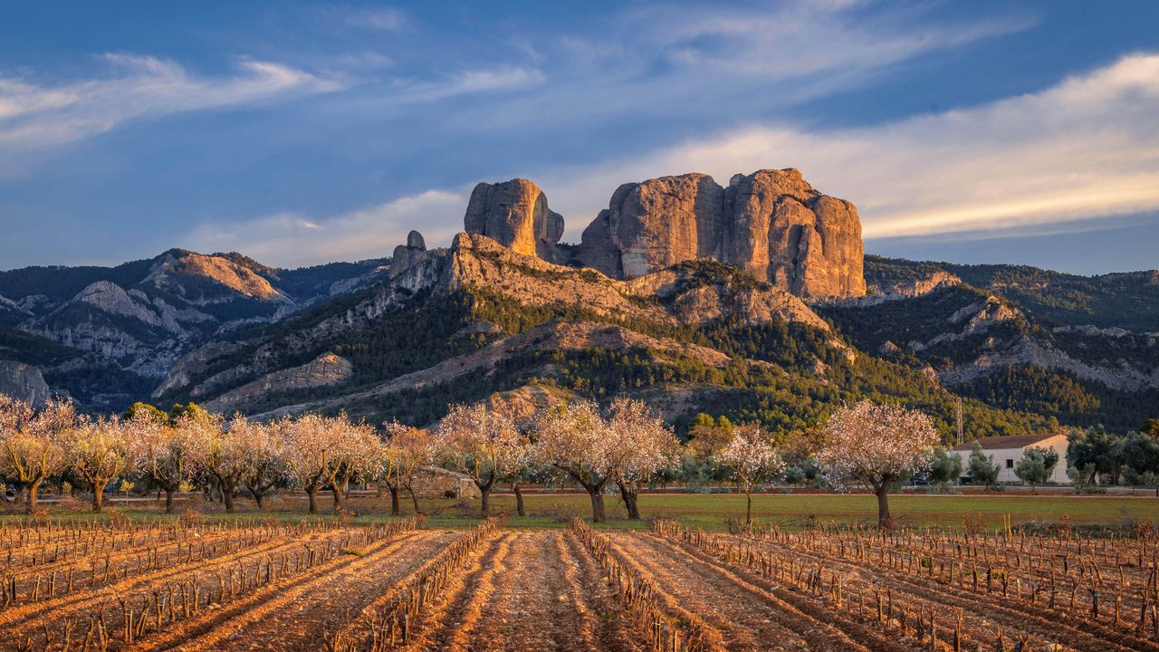 Crags meet agriculture