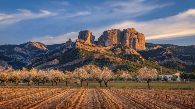 Crags meet agriculture