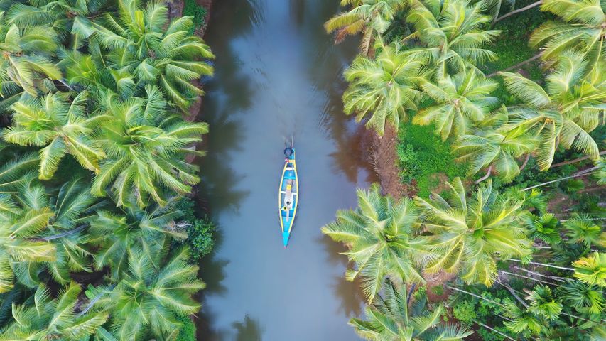 運河を進むボート, インド ケーララ州