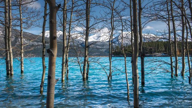 Abraham Lake, Alberta, Canada