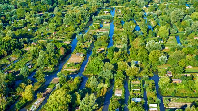 ブールジュの沼地, フランス