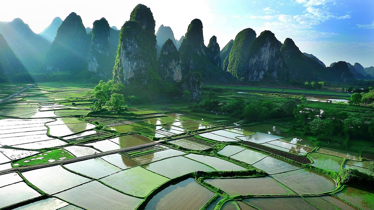 Of pillars and paddies