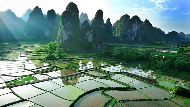 Of pillars and paddies