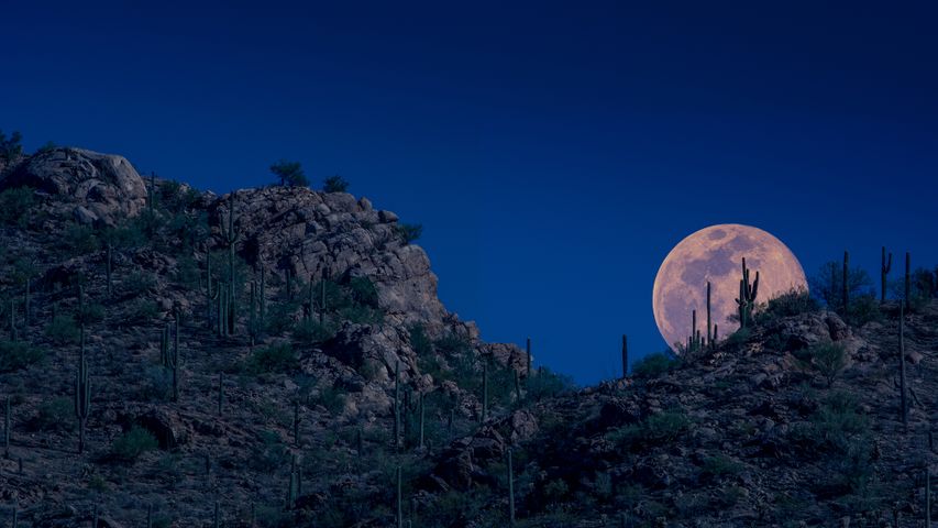 月亮升起，图森，亚利桑那州，美国