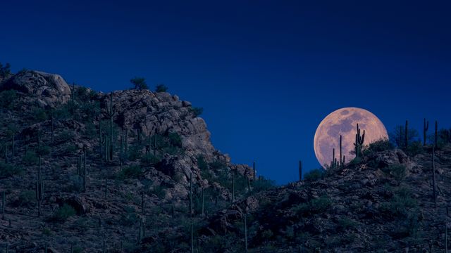 Pleine lune, Tucson, Arizona, États-Unis