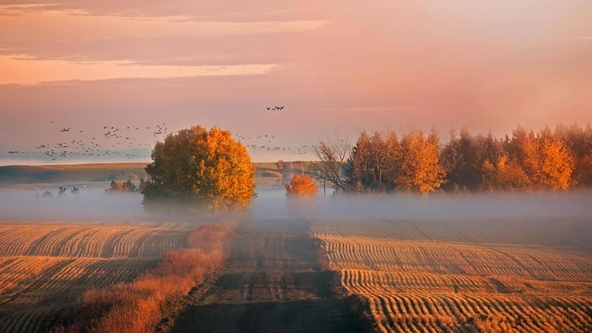 Sonnenaufgang in Alberta, Kanada