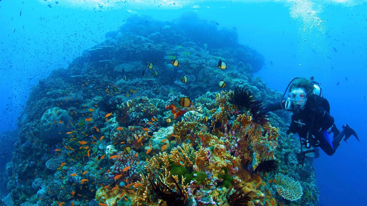 Dr. Sylvia Earle explores Australia's Great Barrier Reef in a scene from 'Mission Blue'