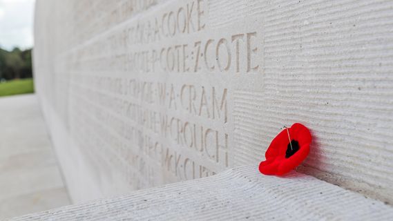Autumn leaves and goldfish in Tokyo, Japan | Peapix