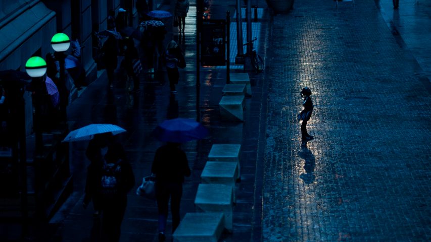 Fearless Girl statue facing the New York Stock Exchange, New York City, United States