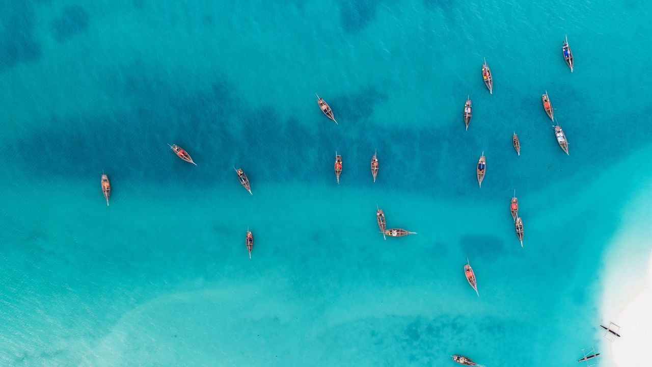 ザンジバル諸島のケンドワ村, タンザニア - Bing Gallery · Peapix