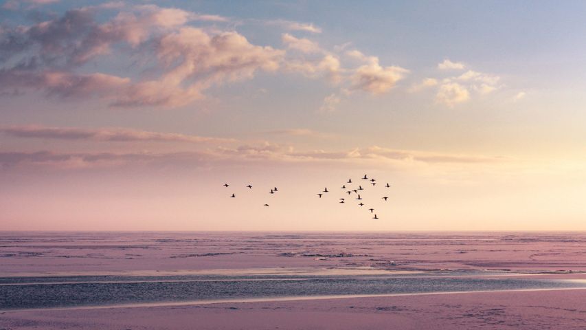 Clouds PREMIUM 4K Windows 10 Theme