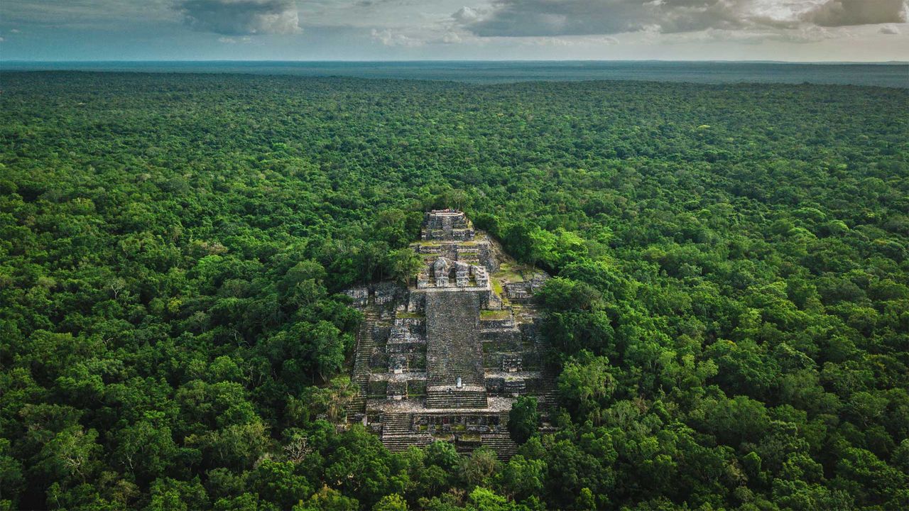 Ruins of the ancient Mayan city of Calakmul surrounded by the jungle, Campeche, Mexico