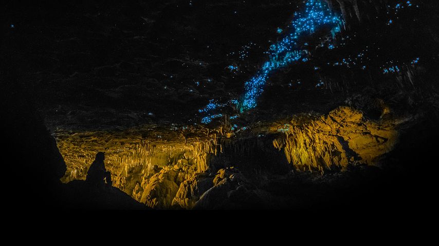 Waitomo Glowworm Caves, New Zealand 