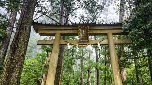 「飛瀧神社」和歌山, 熊野古道