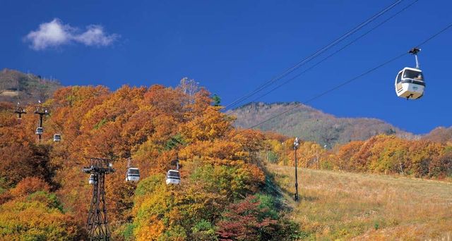 ｢栂池自然園｣長野, 小谷村