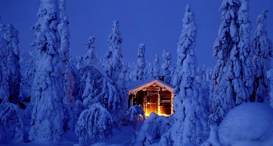 Snowy spruce forest with log cabin in Riisitunturi National Park, Finland
