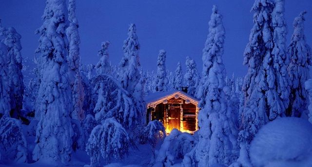 Forêt d’épicéas sous la neige et cabane en bois dans le parc national de Riisitunturi, Laponie, Finlande