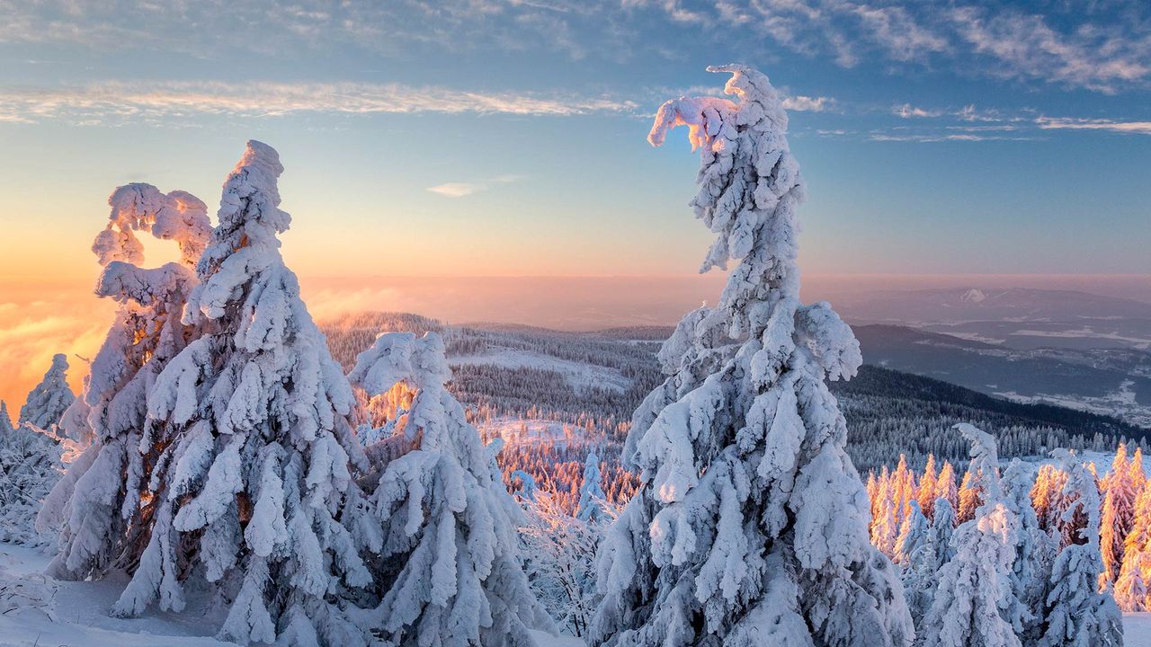 Wintermorgen am Großen Arber, Bayern, Deutschland 