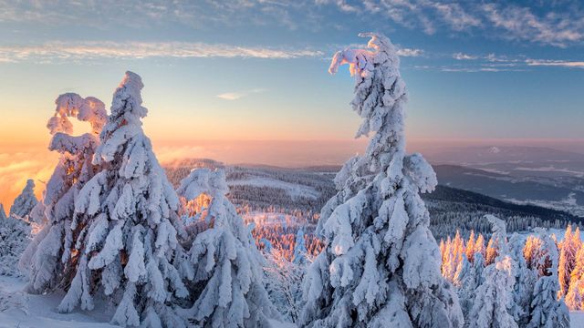 Wintermorgen am Großen Arber, Bayern, Deutschland