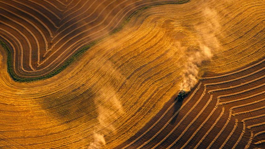 Mähdrescher bei der Weizenernte in der Nähe von Jamestown, North Dakota