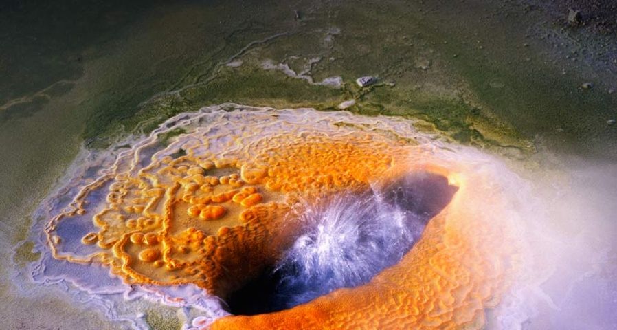 Heiße Quelle im Norris Geyser Basin des Yellowstone Nationalparks, Wyoming – Fred Hirschmann/Corbis ©
