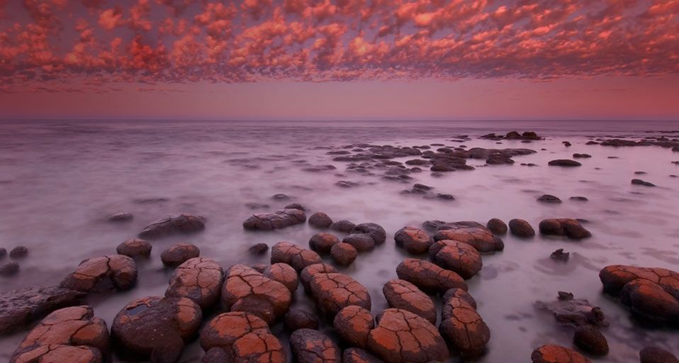 Stromatolites at dawn in Shark Bay, Western Australia