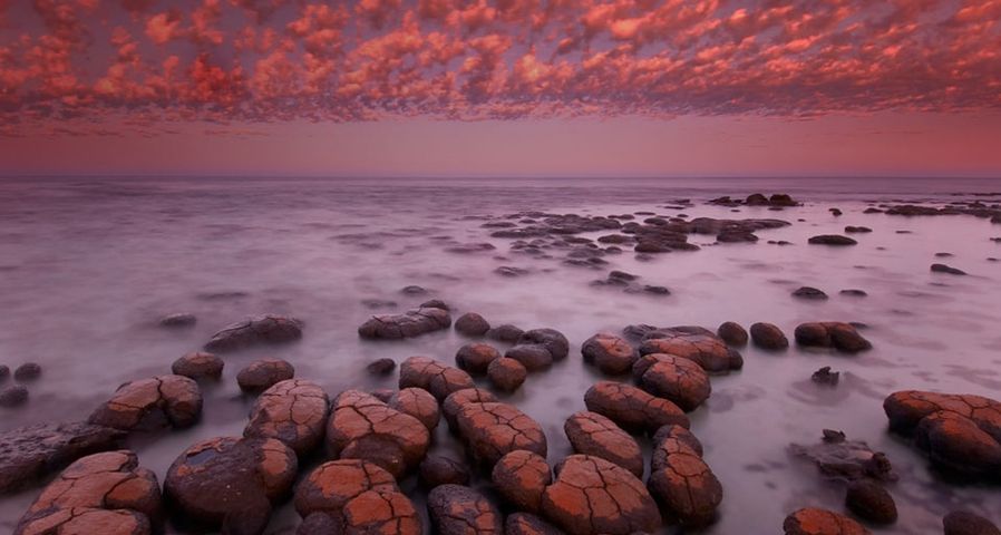 Der Tag erwacht über einer Stromatolithen-Kolonie in der Shark Bay, Australien