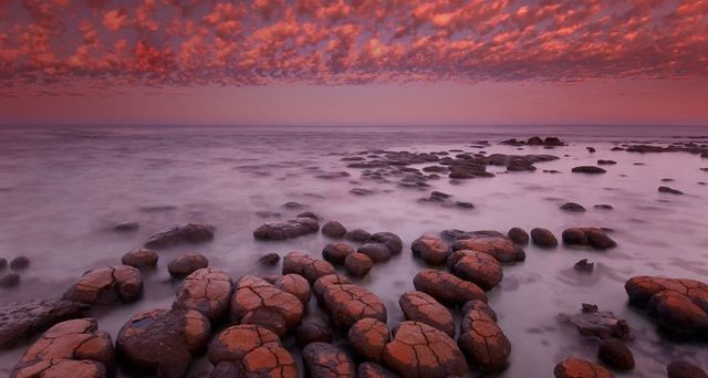Stromatolites at dawn in Shark Bay, Western Australia