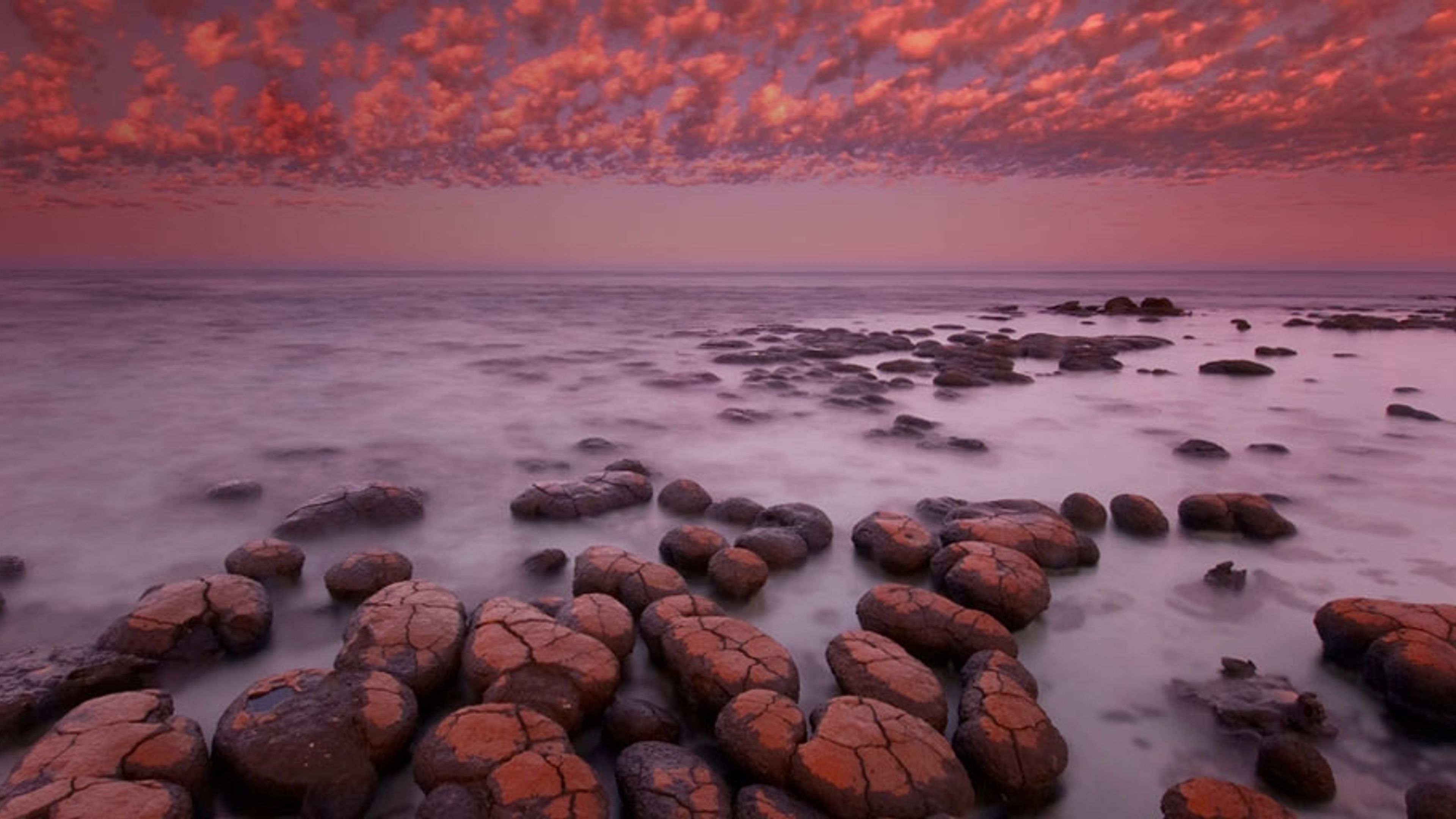 Stromatolites at dawn in Shark Bay, Western Australia - Bing Gallery