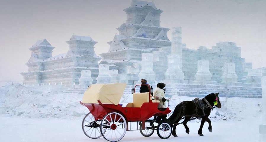 冰城哈尔滨的游览马车