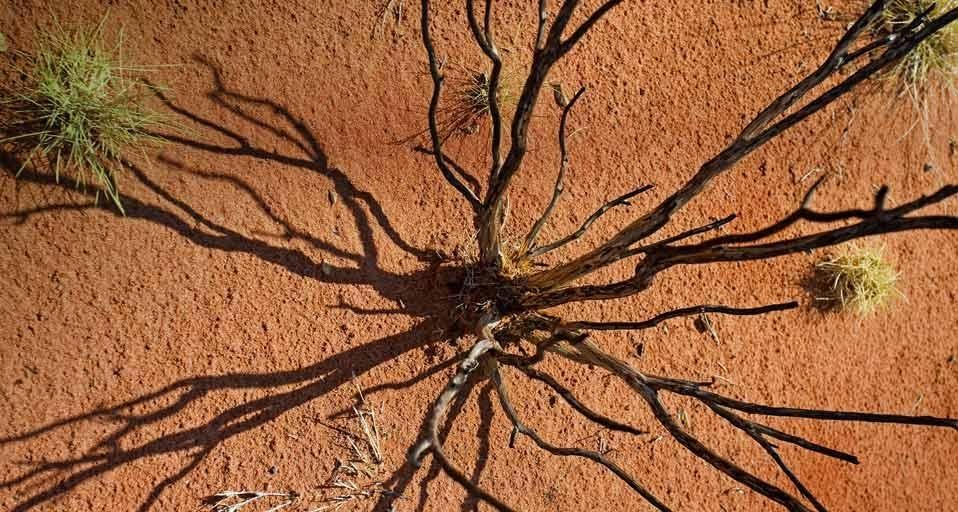 Uluru Kata Tjuta National Park