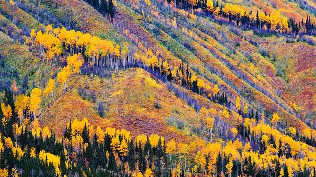 Fall Colours, Toad River, Northern British Columbia