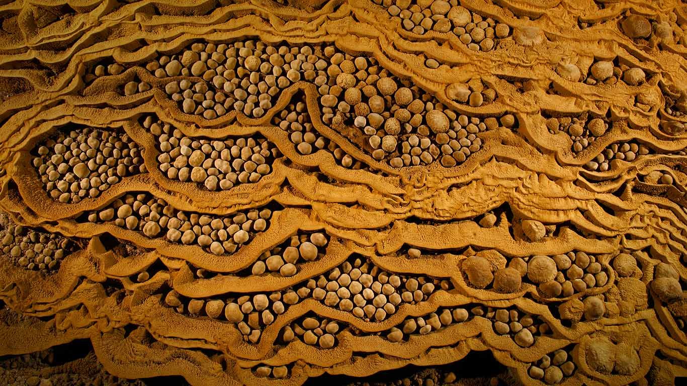 Rare cave pearls in Son Doong Cave at Phong NhaKẻ Bàng National Park