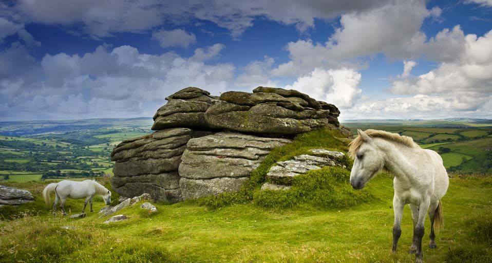 Ponies grazing at Chinkwell Tor, Dartmoor, UK - Adam Burton/Photolibrary ©