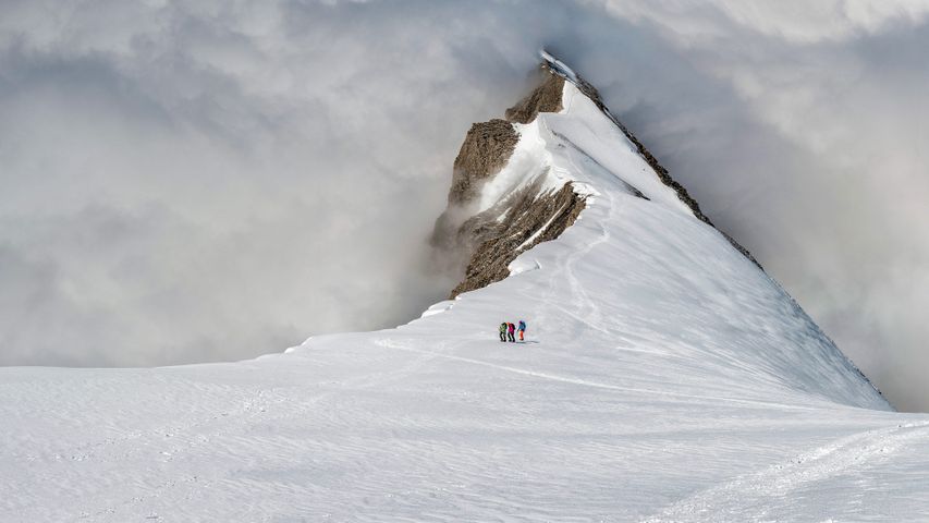 Mountaineers on the Balmhorn in the Bernese Alps of Switzerland 