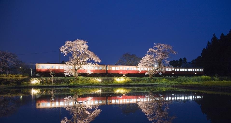 ｢小湊鉄道と桜｣千葉, 市原, 飯給駅