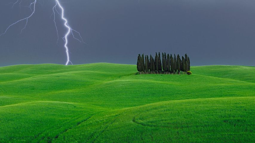 Lightning strike near a grove of cypress trees, Val d’Orcia, Italy