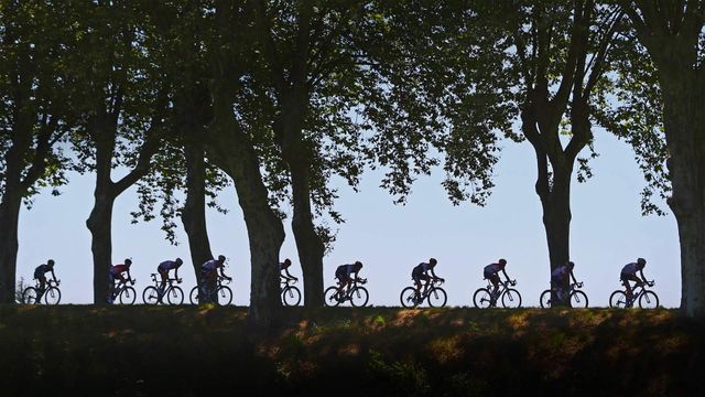 Radrennfahrer während der Tour de France 2016