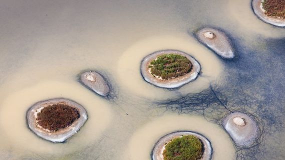 叫老大过去真是有效