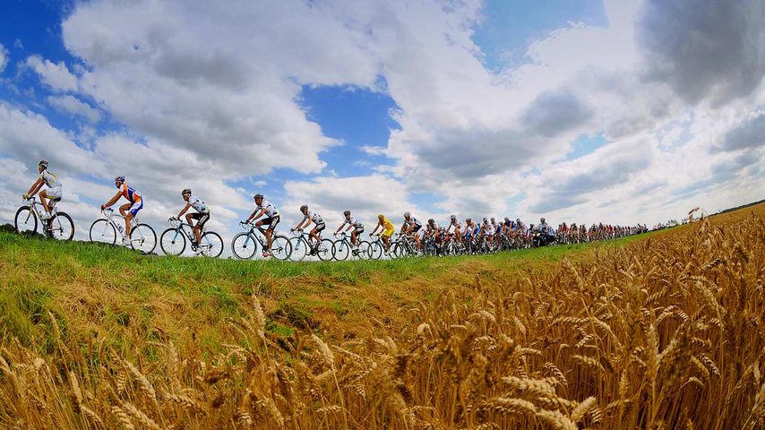 Tour de France riders