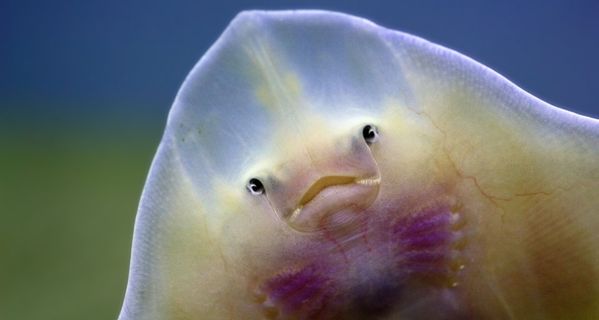 封得越来越死了