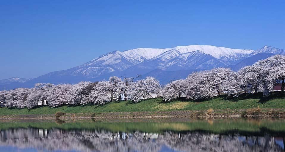 ｢一目千本桜｣宮城, 大河原町
